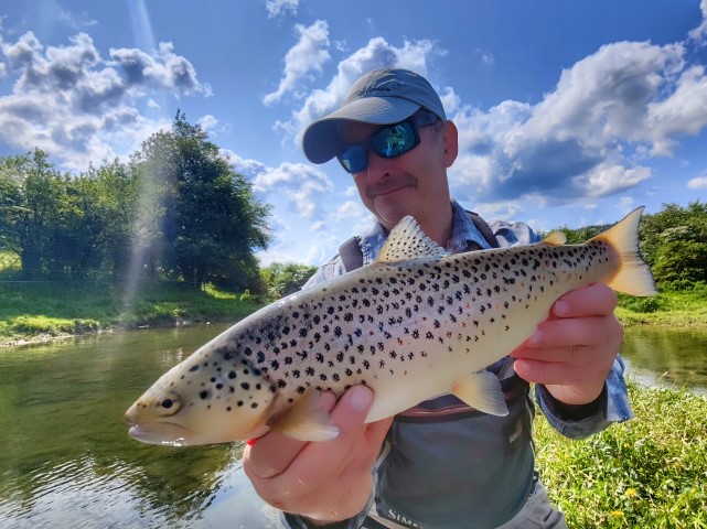 chal brown trout.